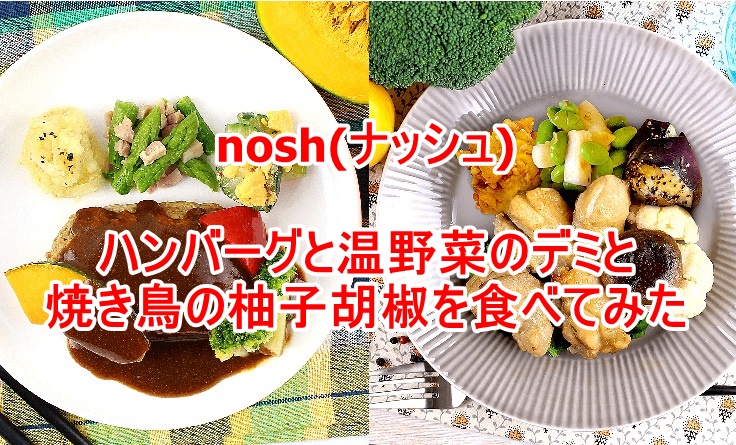 nosh(ナッシュ)のハンバーグと温野菜のデミと焼き鳥の柚子胡椒を食べてみた
